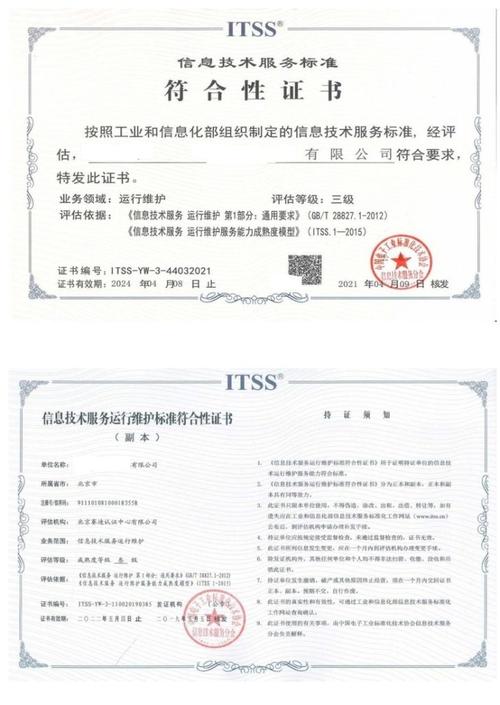 全面规范信息技术服务产品及其组成要素 信息技术咨询服务的标准化之路
